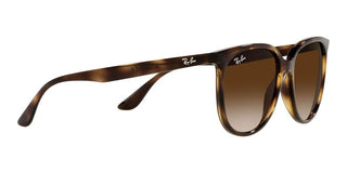 Ray-Ban RB 4378 women Havana Squared Sunglasses