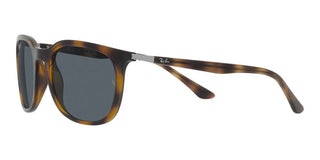 Ray-Ban RB 4386 unisex Havana Squared Sunglasses