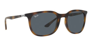 Ray-Ban RB 4386 unisex Havana Squared Sunglasses