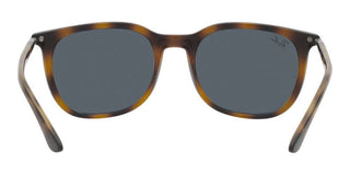 Ray-Ban RB 4386 unisex Havana Squared Sunglasses