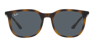 Ray-Ban RB 4386 unisex Havana Squared Sunglasses