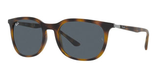 Ray-Ban RB 4386 unisex Havana Squared Sunglasses