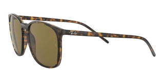 Ray-Ban RB 4387 men Havana Geometric Sunglasses