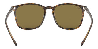 Ray-Ban RB 4387 men Havana Geometric Sunglasses