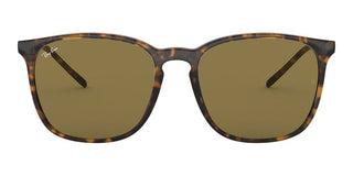 Ray-Ban RB 4387 men Havana Geometric Sunglasses