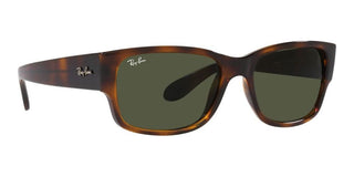 Ray-Ban RB 4388 unisex Havana Squared Sunglasses