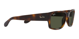 Ray-Ban RB 4388 unisex Havana Squared Sunglasses