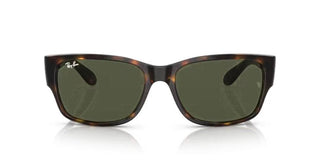 Ray-Ban RB 4388 unisex Havana Squared Sunglasses