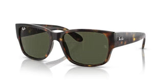 Ray-Ban RB 4388 unisex Havana Squared Sunglasses