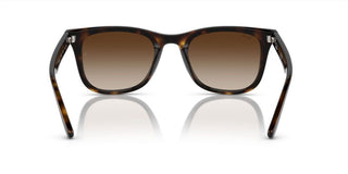 Ray-Ban RB 4420 unisex Havana Squared Sunglasses