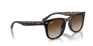 Ray-Ban RB 4420 unisex Havana Squared Sunglasses