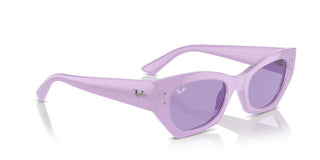 Ray-Ban RB 4430 unisex Violet Squared Sunglasses