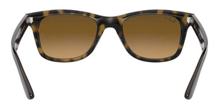 Ray-Ban RB 4640 unisex Havana Squared Sunglasses