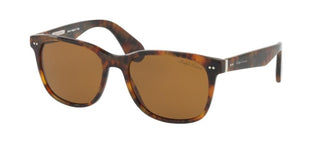 Ralph Lauren RL 8162P men Havana Squared Sunglasses