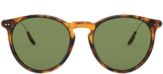 Ralph Lauren RL 8181P men Havana Round Sunglasses