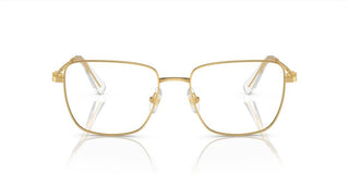 Swarovski SK1003 women Gold Squared Eyeglasses