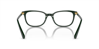 Swarovski SK2003 women Green Squared Eyeglasses