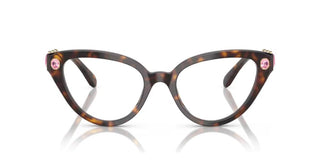 Swarovski Sk2028 Women Havana Cat Eye Eyeglasses