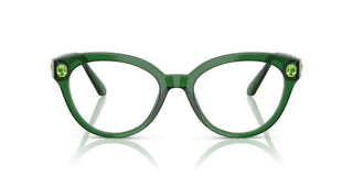 Swarovski SK2037 women Green Round Eyeglasses