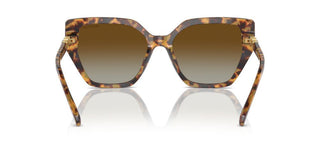 Swarovski SK6016 women Havana Butterfly Sunglasses