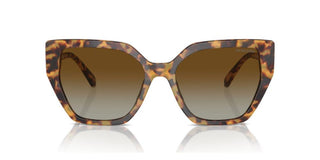 Swarovski SK6016 women Havana Butterfly Sunglasses