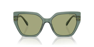 Swarovski Sk6016 Women Green Butterfly Sunglasses