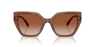 Swarovski SK6016 women Brown Butterfly Sunglasses