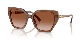 Swarovski SK6016 women Brown Butterfly Sunglasses