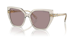 Swarovski SK6016 women Transparent Butterfly Sunglasses