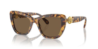 Swarovski Sk6018 Women Havana Cat Eye Sunglasses