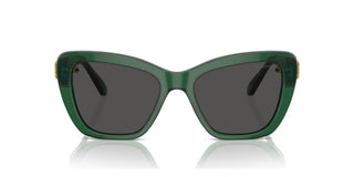 Swarovski Sk6018 Women Green Cat Eye Sunglasses