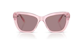 Swarovski SK6018 women Pink Cat Eye Sunglasses