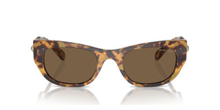 Swarovski SK6022 women Havana Cat Eye Sunglasses