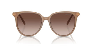 Swarovski SK6023D women Brown Squared Sunglasses