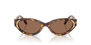 Swarovski SK6030 women Havana Cat Eye Sunglasses