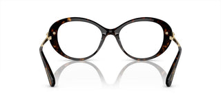 Swarovski SK 2001 women Havana Cat Eye Eyeglasses