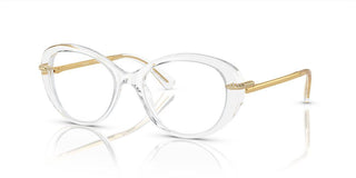 Swarovski SK 2001 women Transparent Cat Eye Eyeglasses