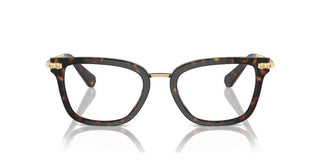 Swarovski SK 2018 women Havana Squared Eyeglasses