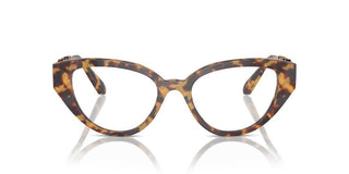 Swarovski SK 2024 women Havana Cat Eye Eyeglasses