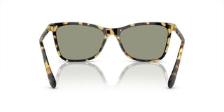 Swarovski SK 6004 women Havana Cat Eye Sunglasses