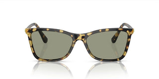 Swarovski SK 6004 women Havana Cat Eye Sunglasses