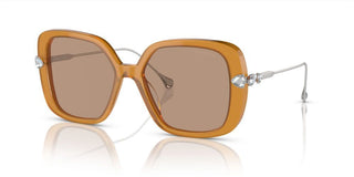 Swarovski SK 6011 women Brown Butterfly Sunglasses