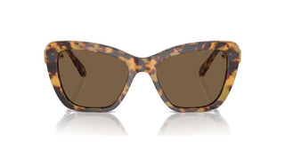 Swarovski SK 6018 women Havana Cat Eye Sunglasses