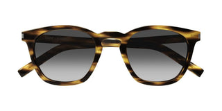 Saint Laurent SL 28 unisex Havana Pantos Sunglasses