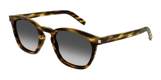 Saint Laurent SL 28 unisex Havana Pantos Sunglasses