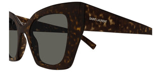 Saint Laurent SL 552 women Havana Butterfly Sunglasses