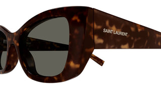 Saint Laurent SL 593 women Havana Cat Eye Sunglasses