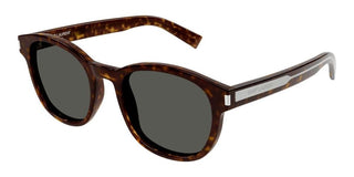 Saint Laurent SL 620 unisex Havana Round Sunglasses