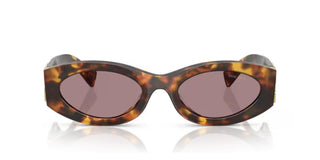 Miu Miu SMU 11WS women Havana Oval Sunglasses