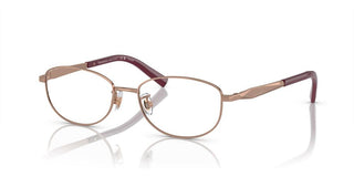 Tiffany & Co. TF 1154TD women Rose gold Oval Eyeglasses